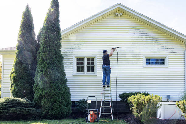 Best Deck Cleaning Services  in Iron River, MI