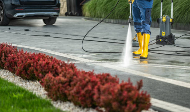 Best Affordable Pressure Washing  in Iron River, MI