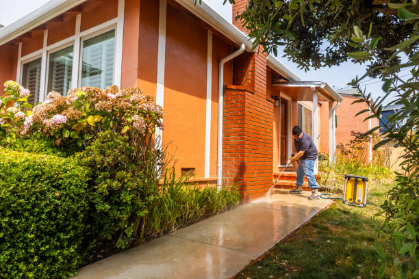 Best Residential Pressure Washing Services  in Iron River, MI
