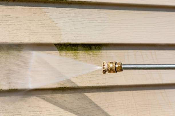 Best Pressure Washing Patio  in Iron River, MI